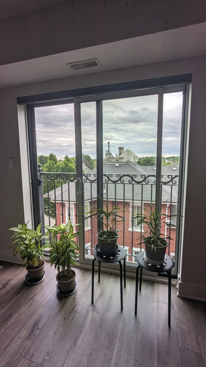 Photo of Mandy's room