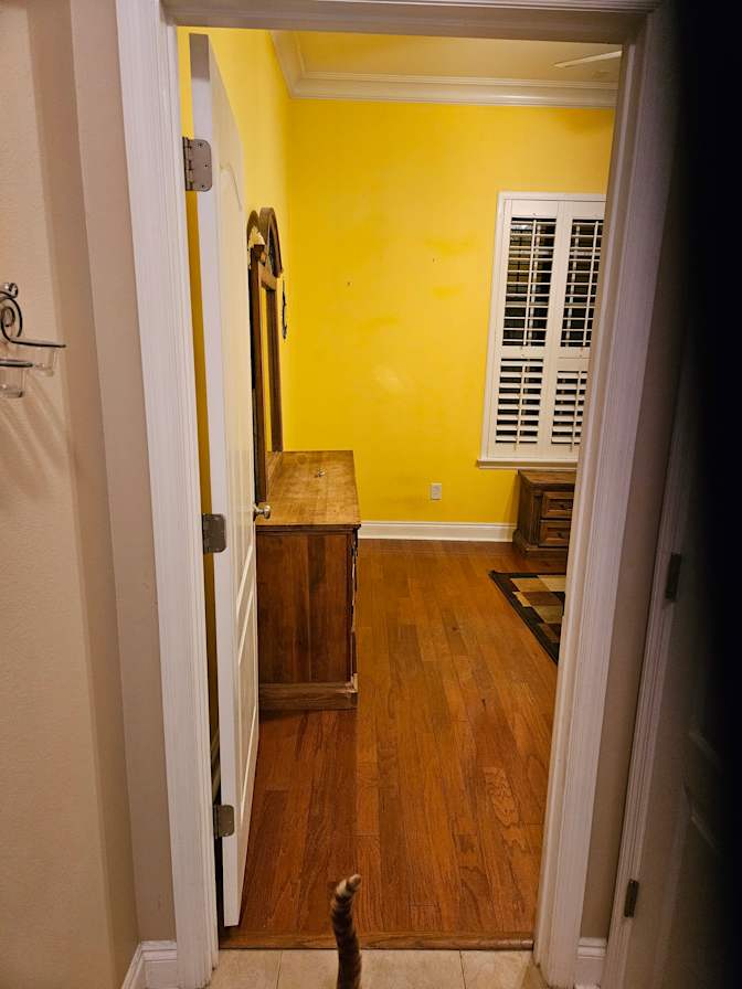 Photo of Josh's room
