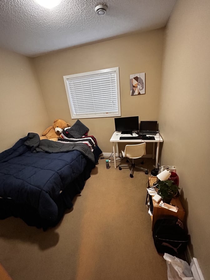 Photo of Damola's room