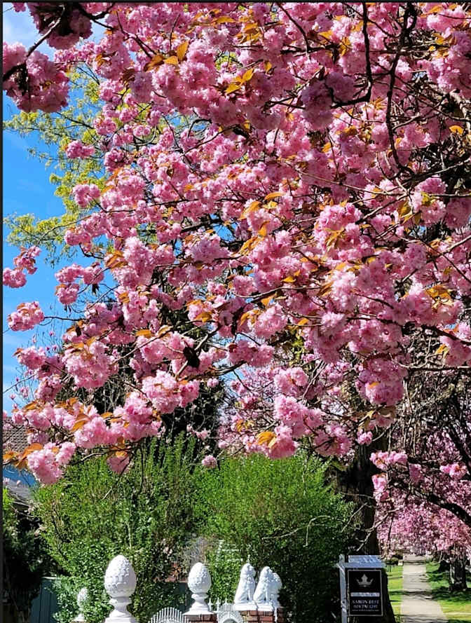 Photo of Danielle's room