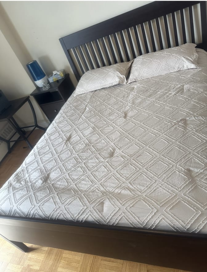 marjan shaker's room