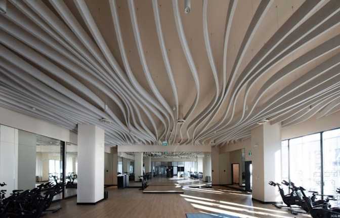 Sherry Anne Mohammed's room