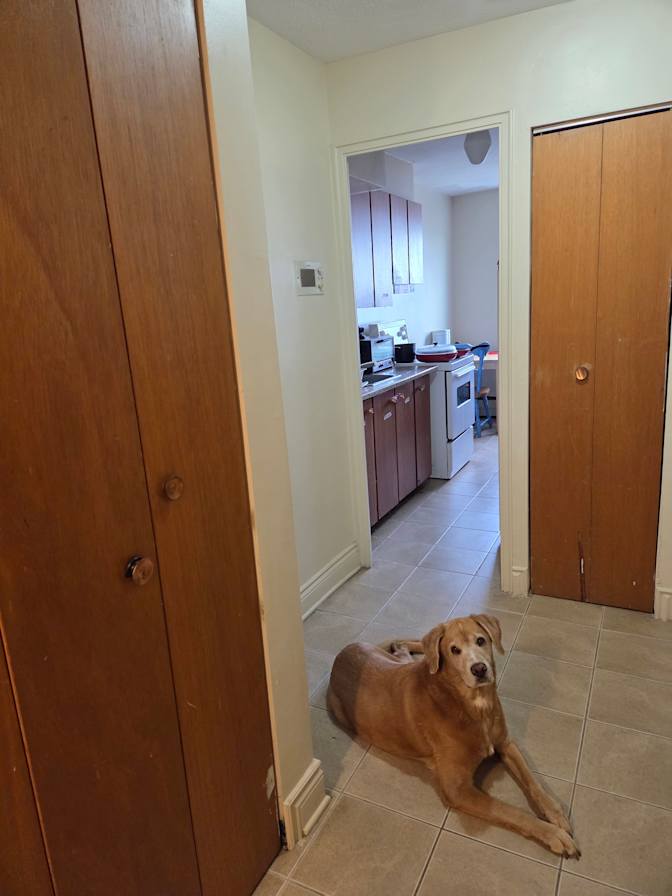 Photo of Kass's room