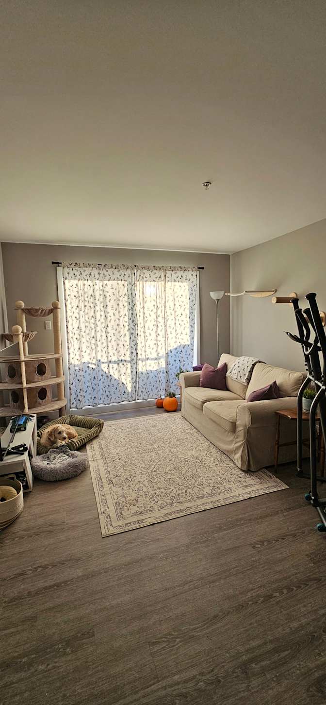 Joanie Chagnon's room