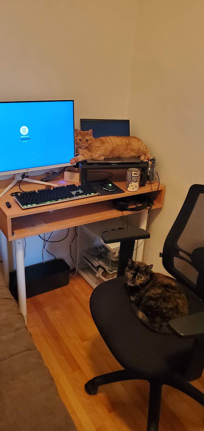 Isla Robertson's room