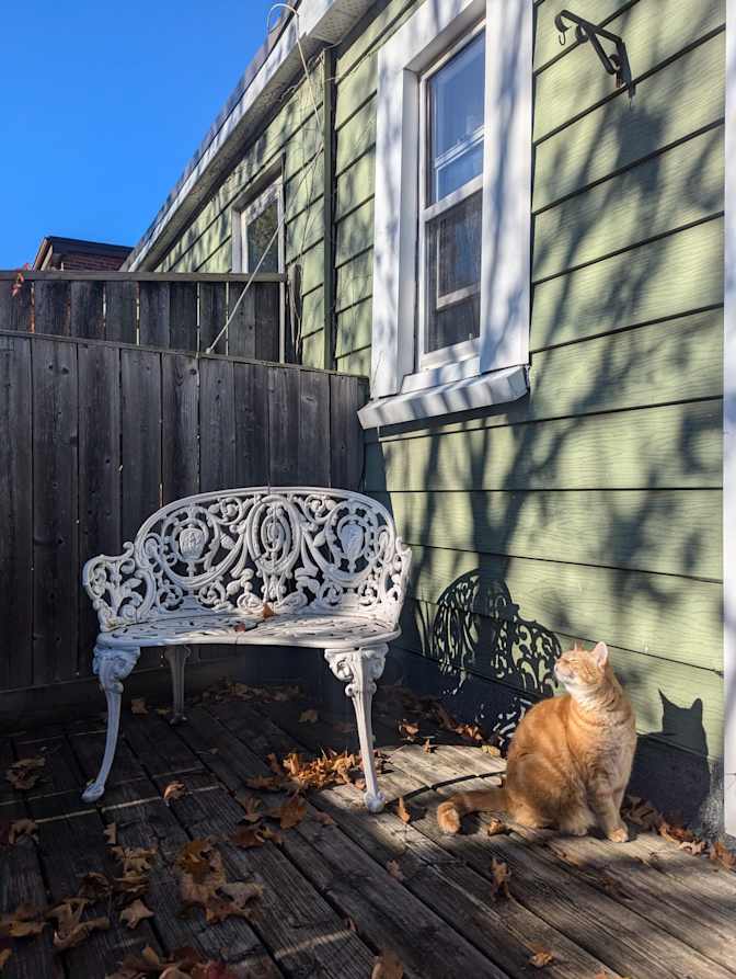 Holly Clausius's room