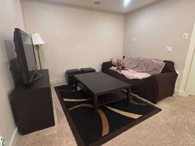 Shauna Collins's room