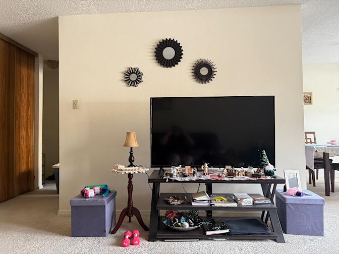 Sepideh Damercheli's room