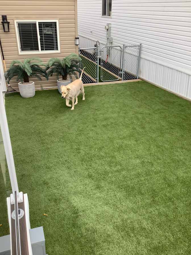 Gordon Dumaresq's room