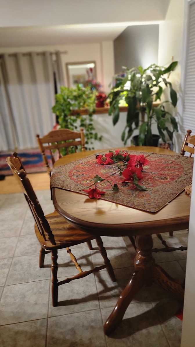 FOROUGH RAHMATI's room