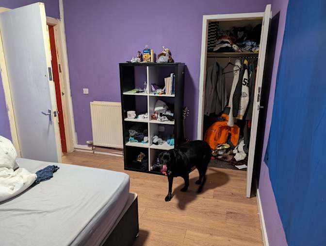 Photo of Jasper's room