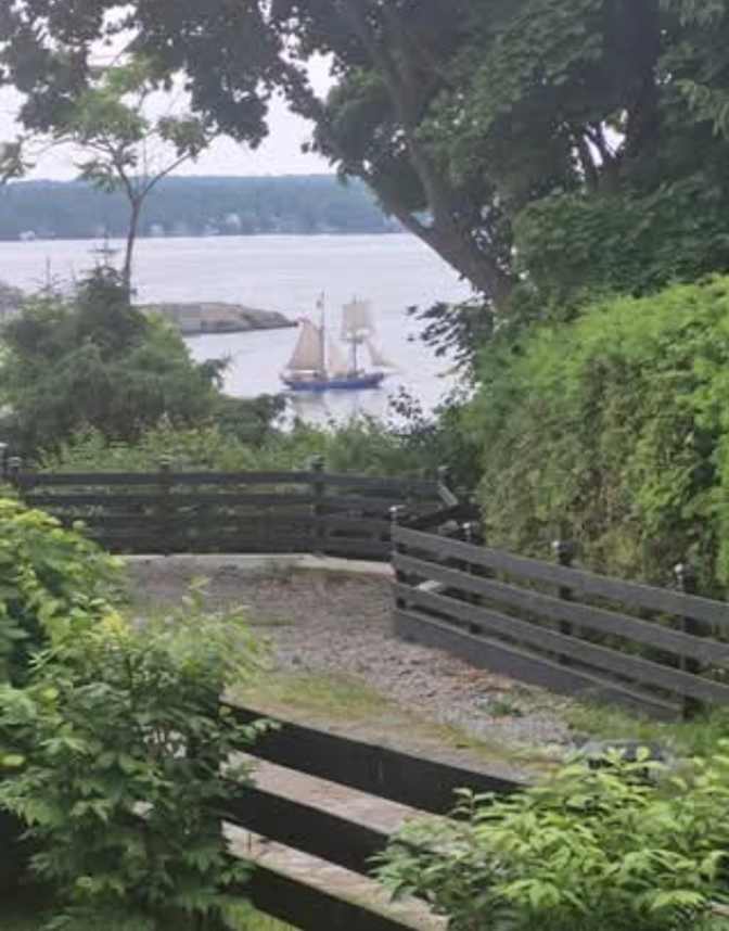 Catherine Steed's room