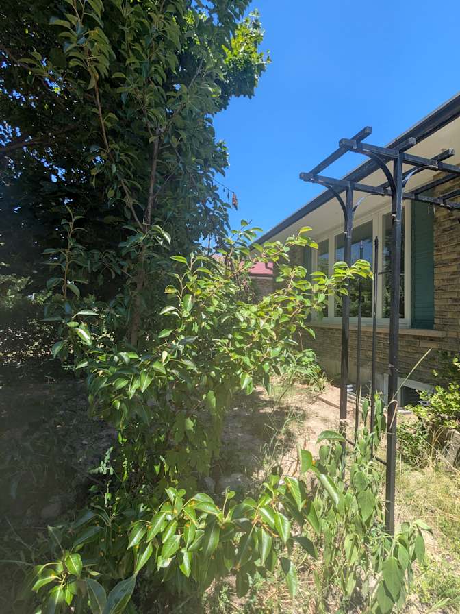 NICOLA THOMAS's room