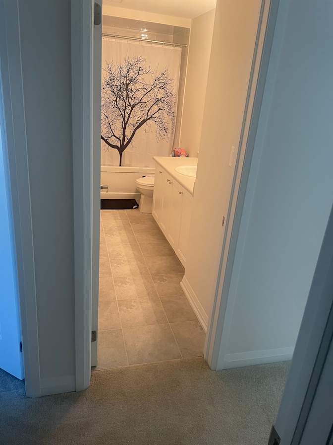 Photo of Alfa's room