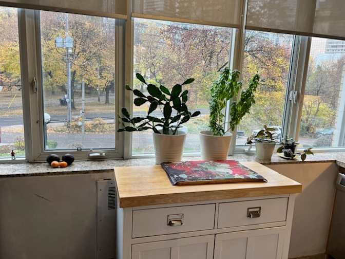 Adrianna Solman's room