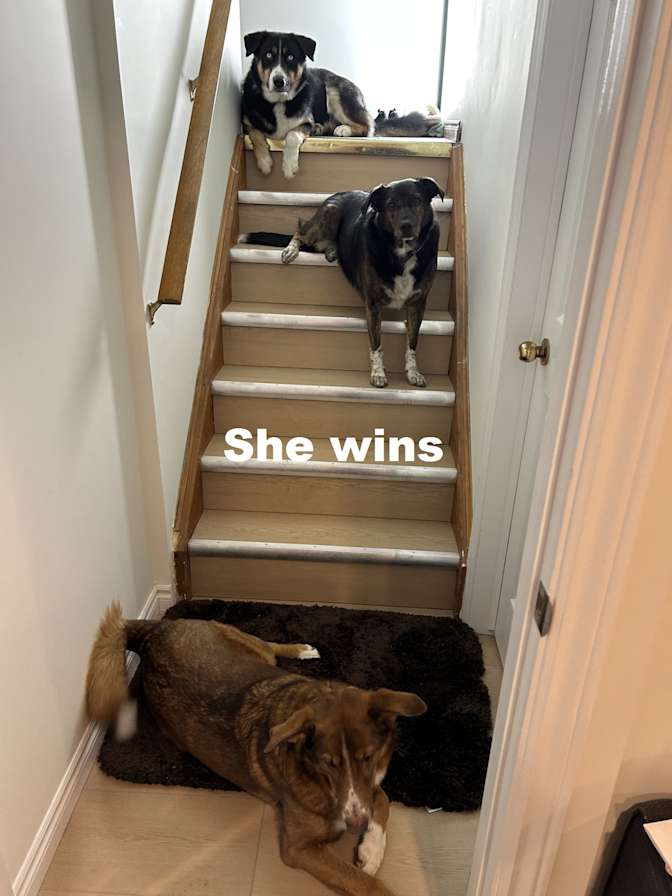 Photo of Stan Murphy's room