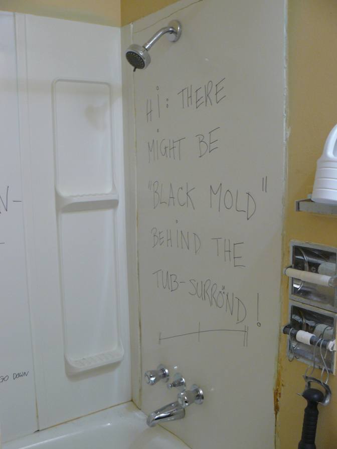 Miss Renee K. Taylor--Wants to help resolve an unconfirmed Crime-Incident--University Degree--Theatre Buff's room