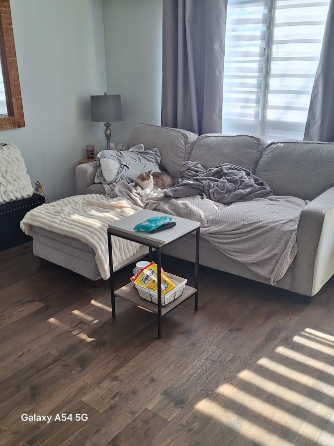 Photo of Bradley's room