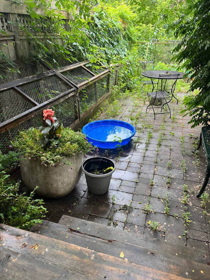 Photo of Sarah Hall's room