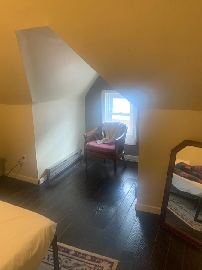 Photo of Brick on Brick's room