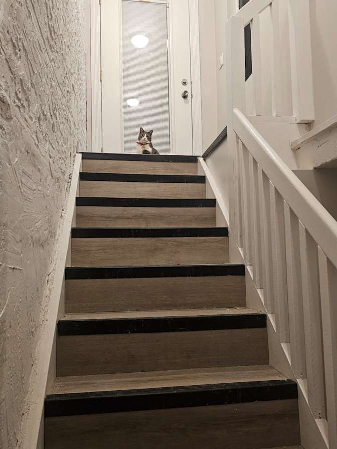 Photo of Farhan's room