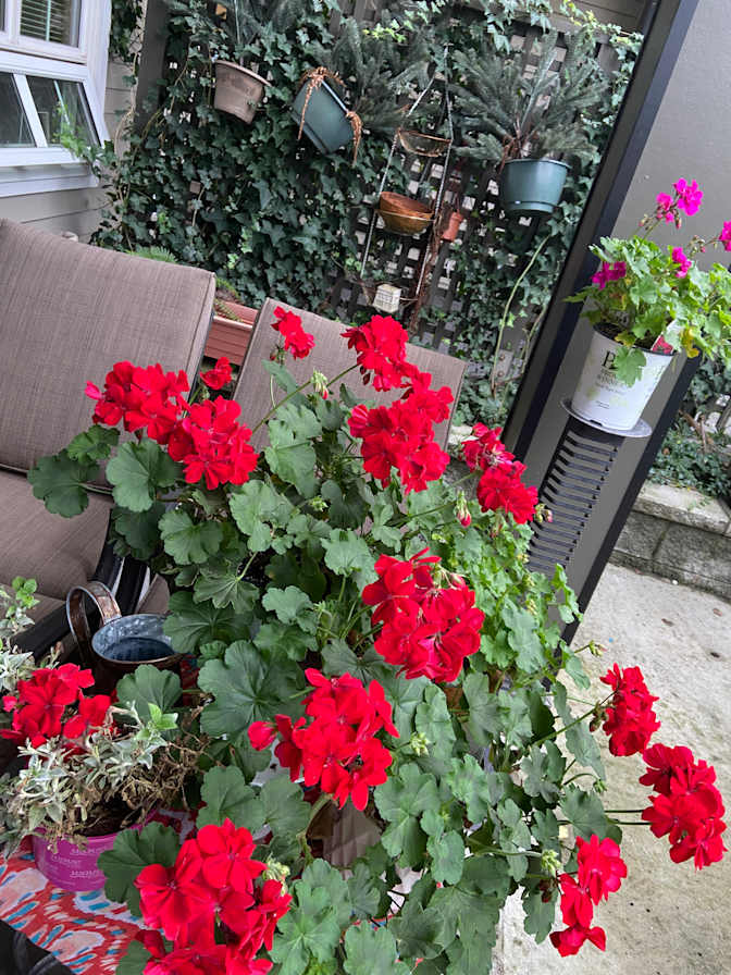 Photo of Shila's room