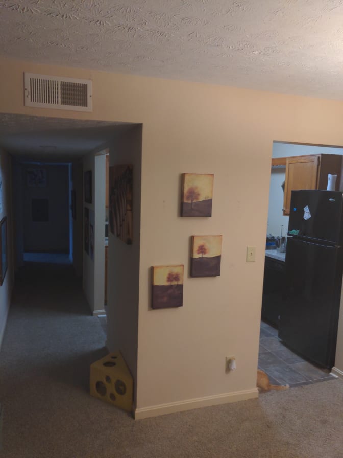 Photo of Jedediah's room