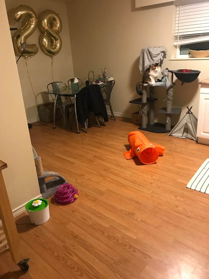 Photo of Mary's room