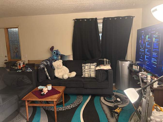 Michelle Meier's room