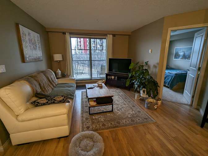 Photo of Tessa's room