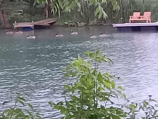 Photo of Jenny's room