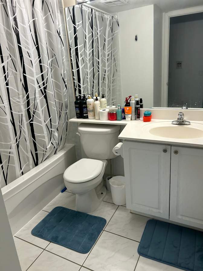 Soheila Shokrollahzade's room