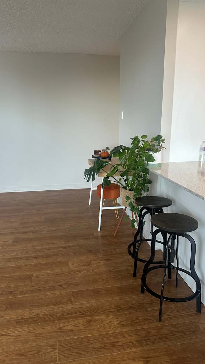 Photo of Nikita Bhatia's room