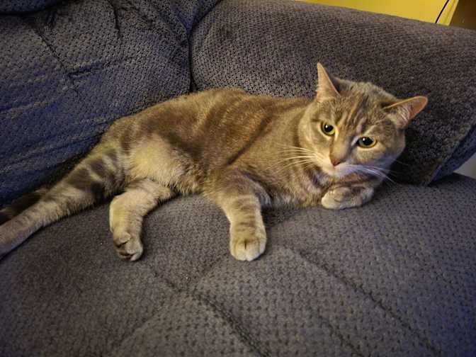 Photo of Karin's room