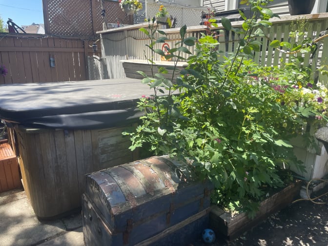 Photo of Adam's room