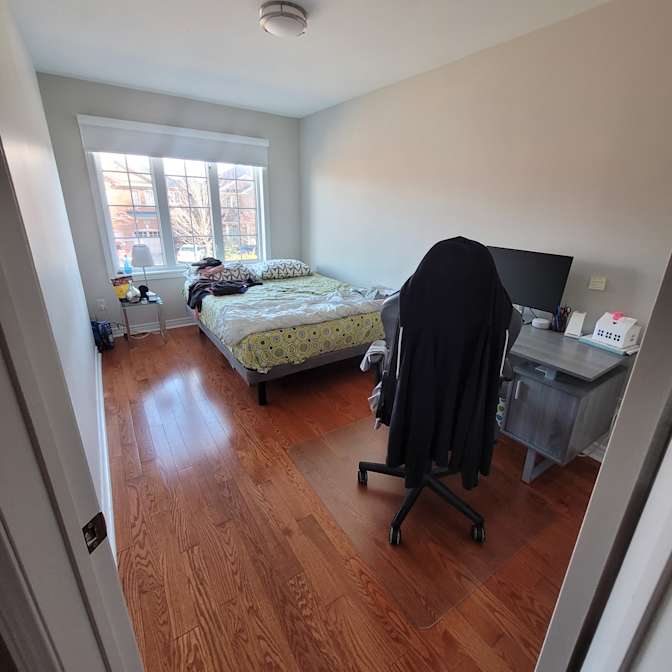 John Frantzis's room