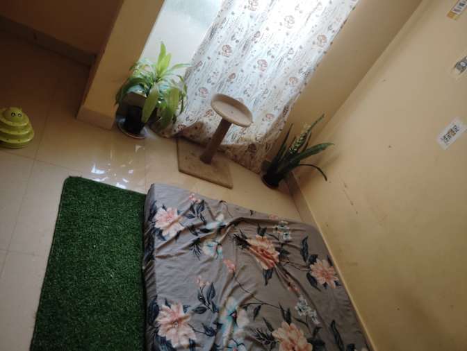 Photo of Adithya's room