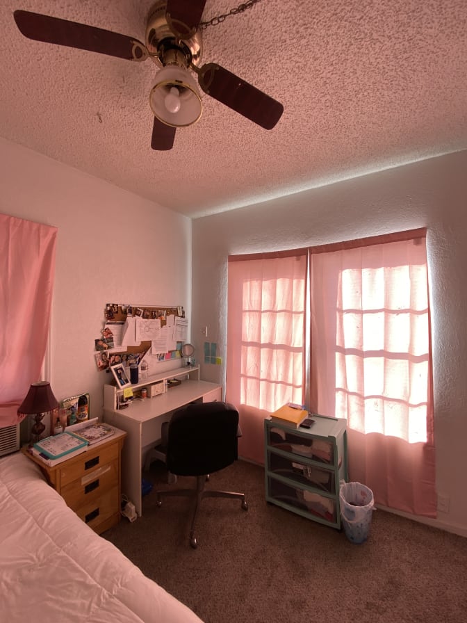 Photo of Daisy's room