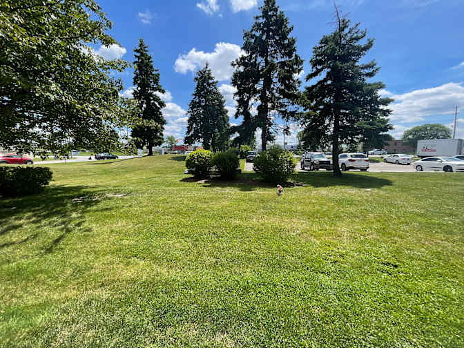 Photo of Robert's room