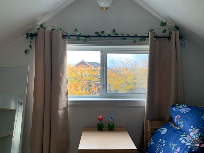 Michelle Coulombe's room