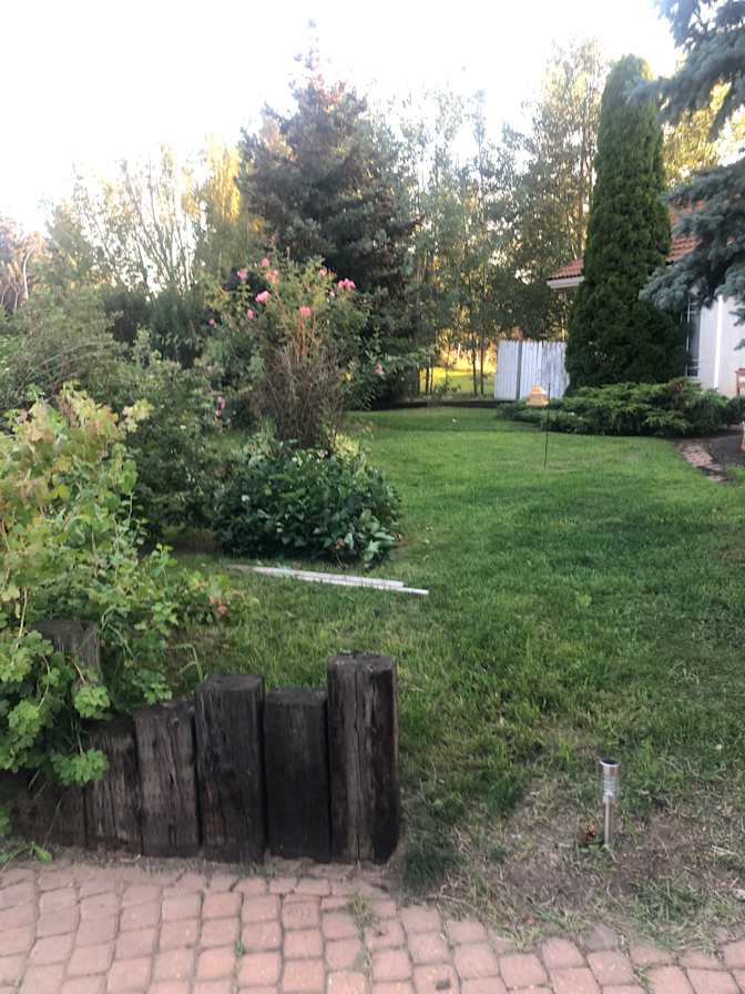 Steve Tanasiuk's room