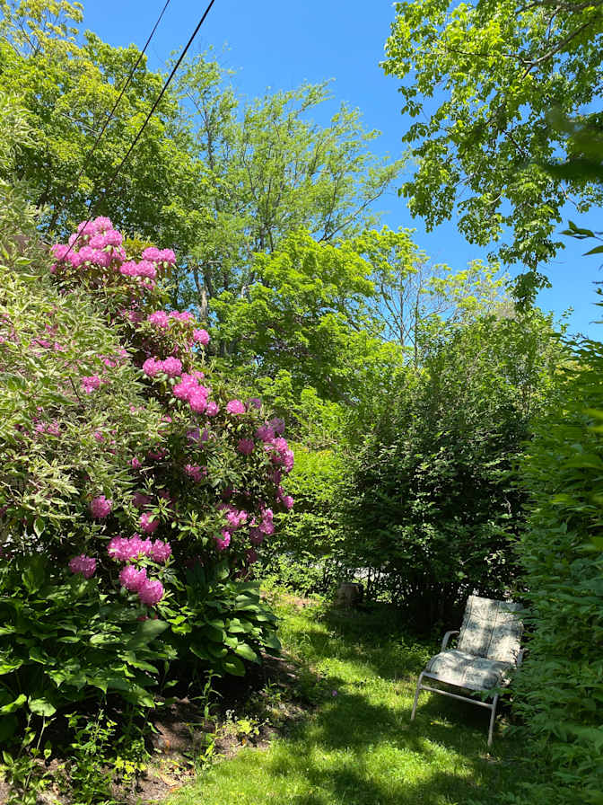 Johannes and Kyle's room