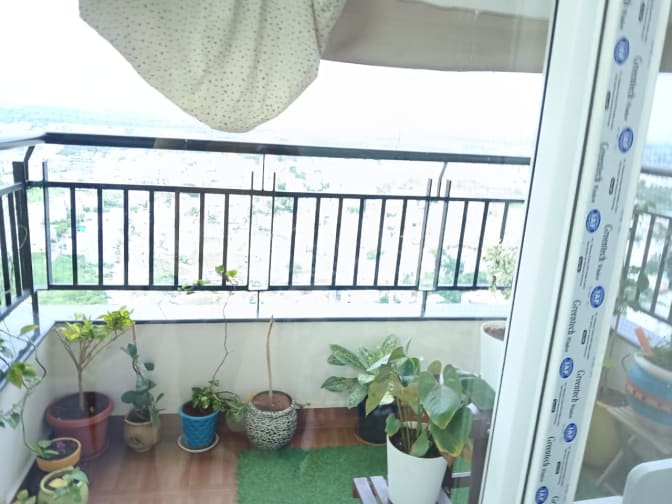 Photo of Hiteshi's room