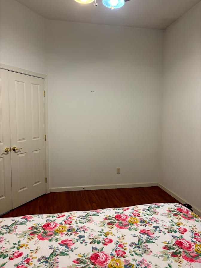 Photo of LOLITA's room