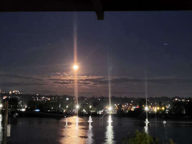 Shirley-anne Elmourne's room