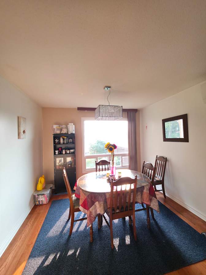 Sayantani Dhar's room