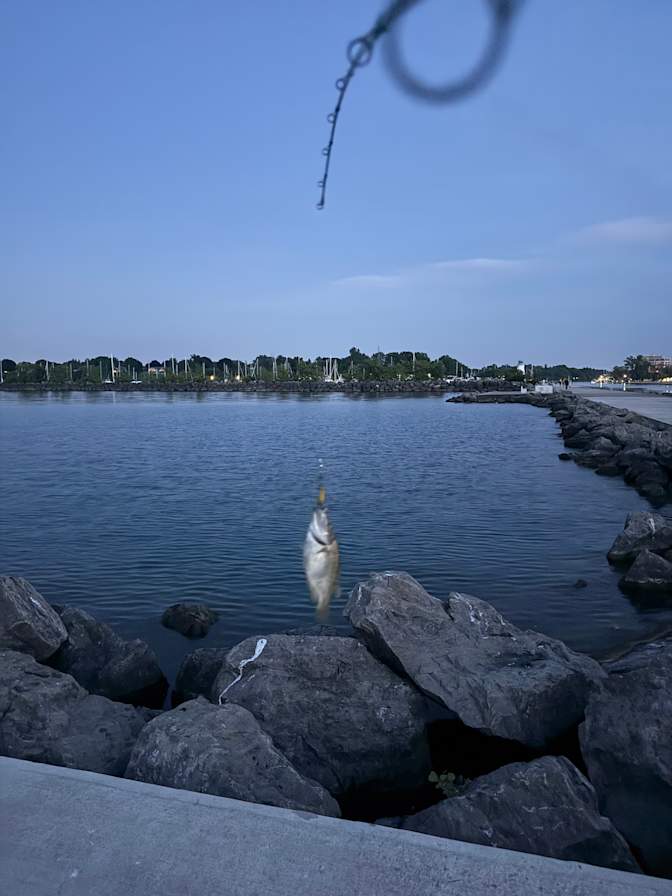 Photo of Bradley's room