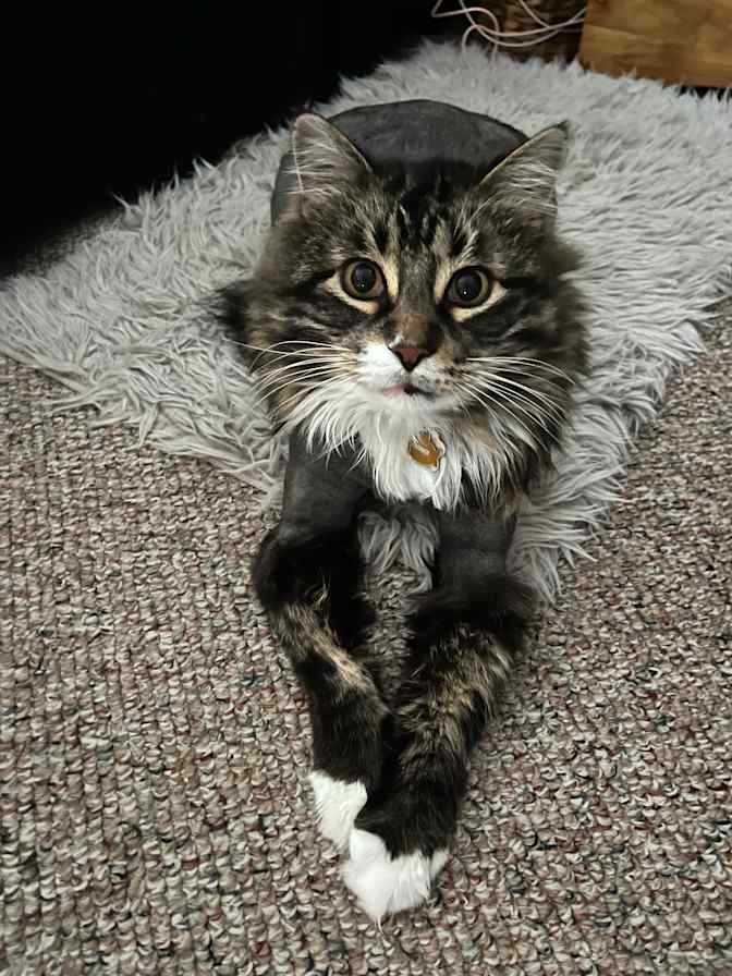 Photo of Kerry's room