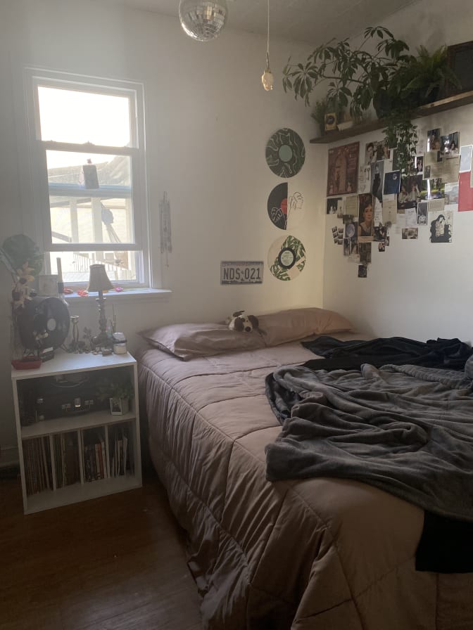 Photo of Hayley's room