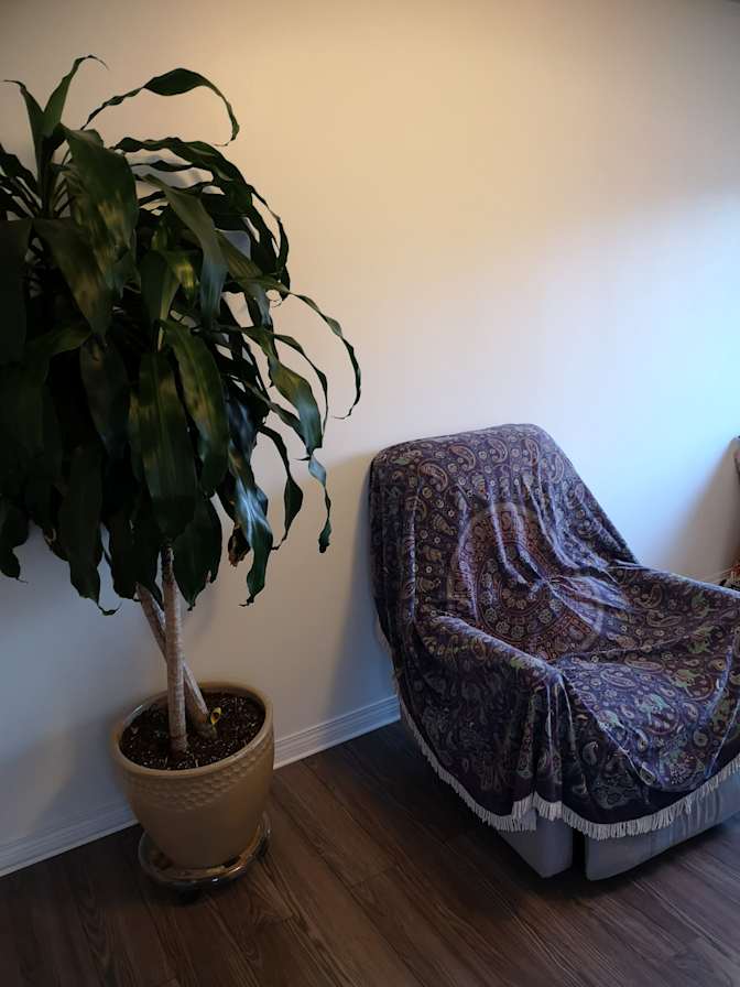 Photo of Joyce's room